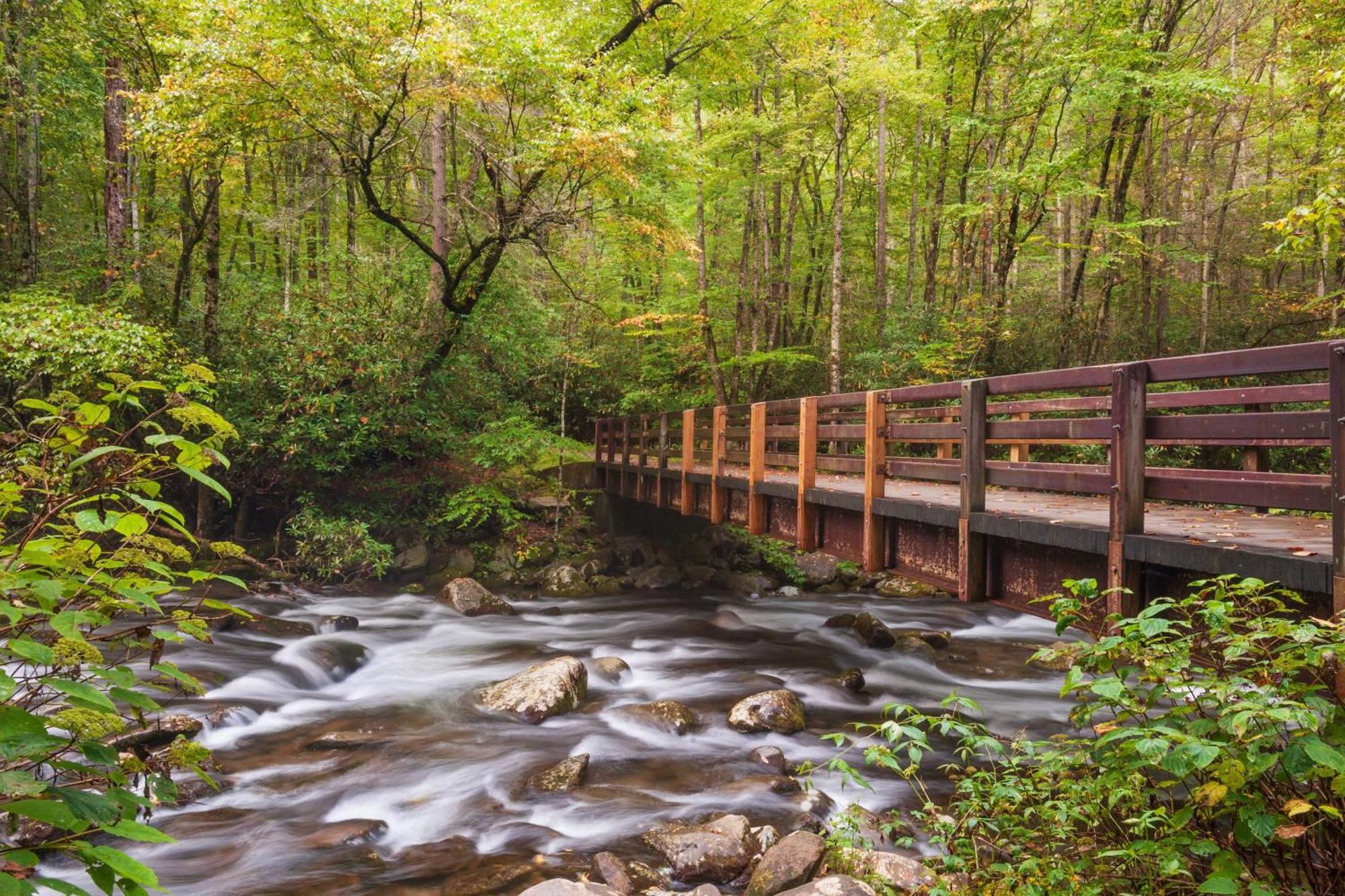 Apple Valley Hideaway, 1089 Of Free Attraction Tickets For Each Paid Day, Dollywood And More! بيدجن فورج المظهر الخارجي الصورة