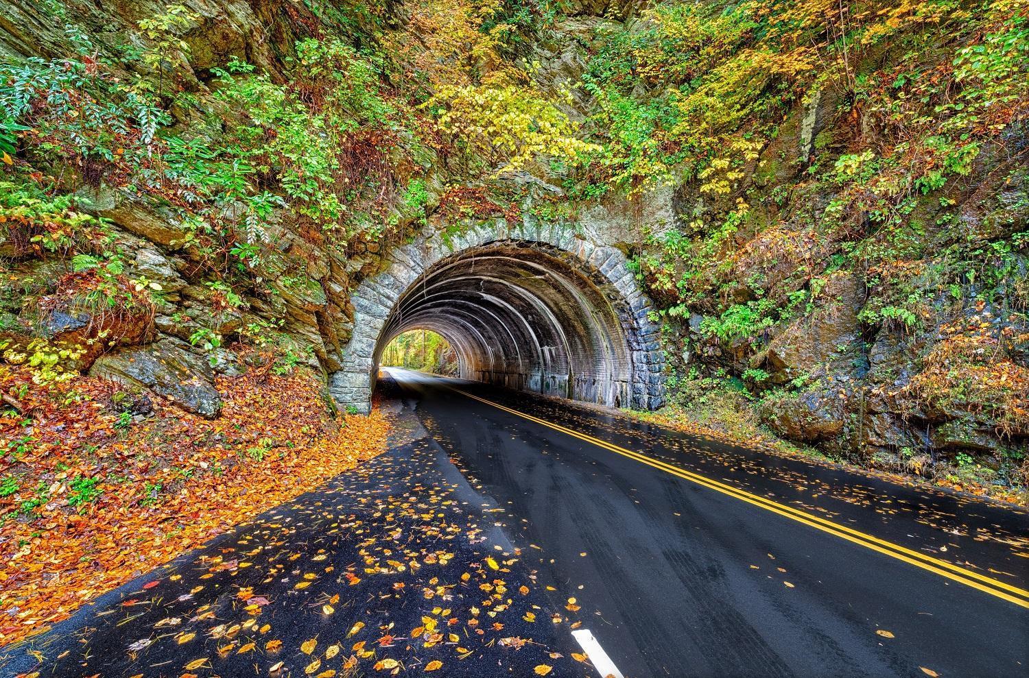Apple Valley Hideaway, 1089 Of Free Attraction Tickets For Each Paid Day, Dollywood And More! بيدجن فورج المظهر الخارجي الصورة